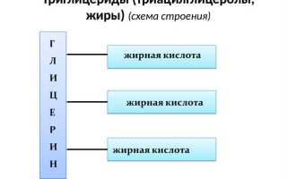 В каких продуктах содержатся полезные жиры подробный список