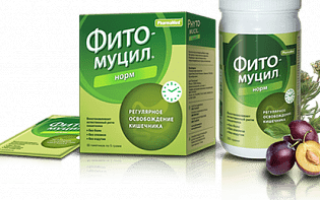 Кунжутная паста тахини: что это такое, польза, из чего делают, с чем едят, рецепты