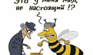 Как хранить мед в сотах дома?