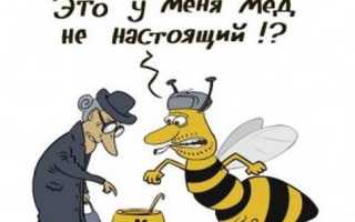 Как хранить мед в сотах дома?