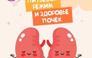 10 лучших продуктов для почек